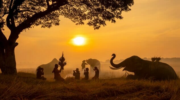 Silhouette of an elephants, ostrich and stunning eagle in Thailand. Landscape scene.
