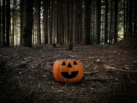 Spooky carved pumpkin placed on the ground in a forest of bare trees with no people around